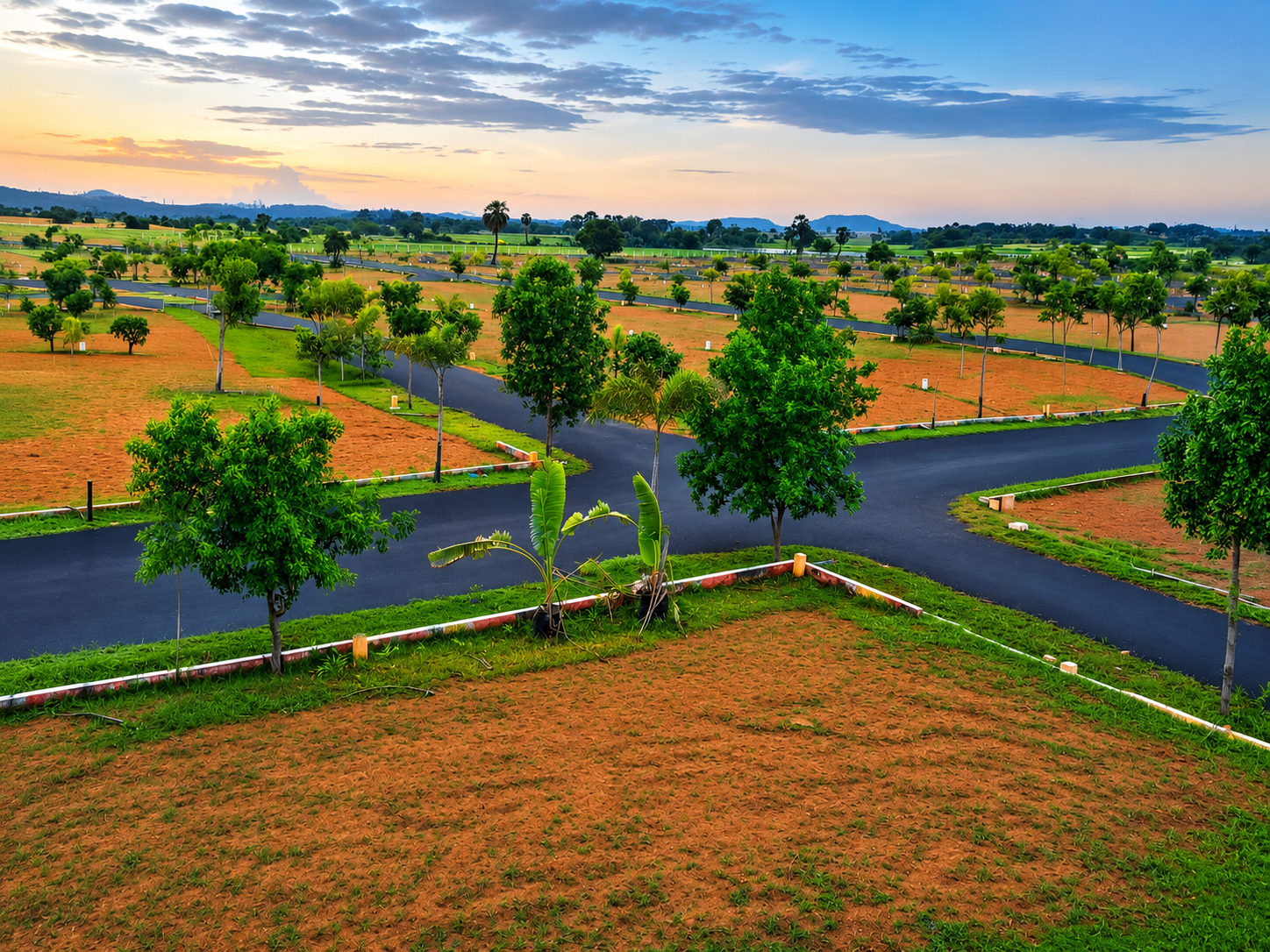 Tree-lined avenue location